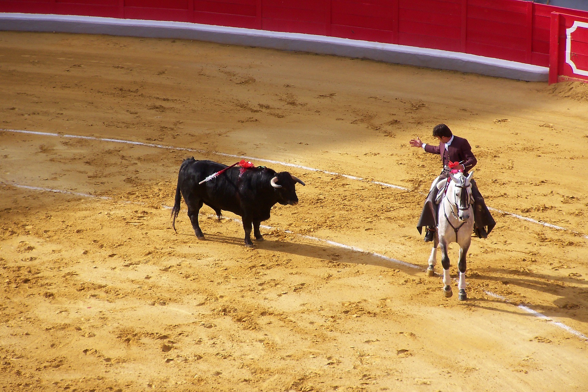 corrida kultura hiszpanii